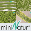 miniNatur - The Link To Nature - Grass, Tufts, Mats, Flowers