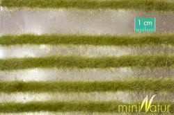 MiniNatur Model Scenics - Karst Grass Strips Spring - 738-21S