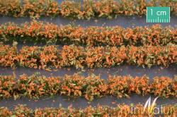 Silhouette | miniNatur Model Scenics - Orange Flower Field Strips - 767-25S