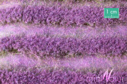 Silhouette | MiniNatur Model Scenics - Meadow Lavender Strips - 792-32S